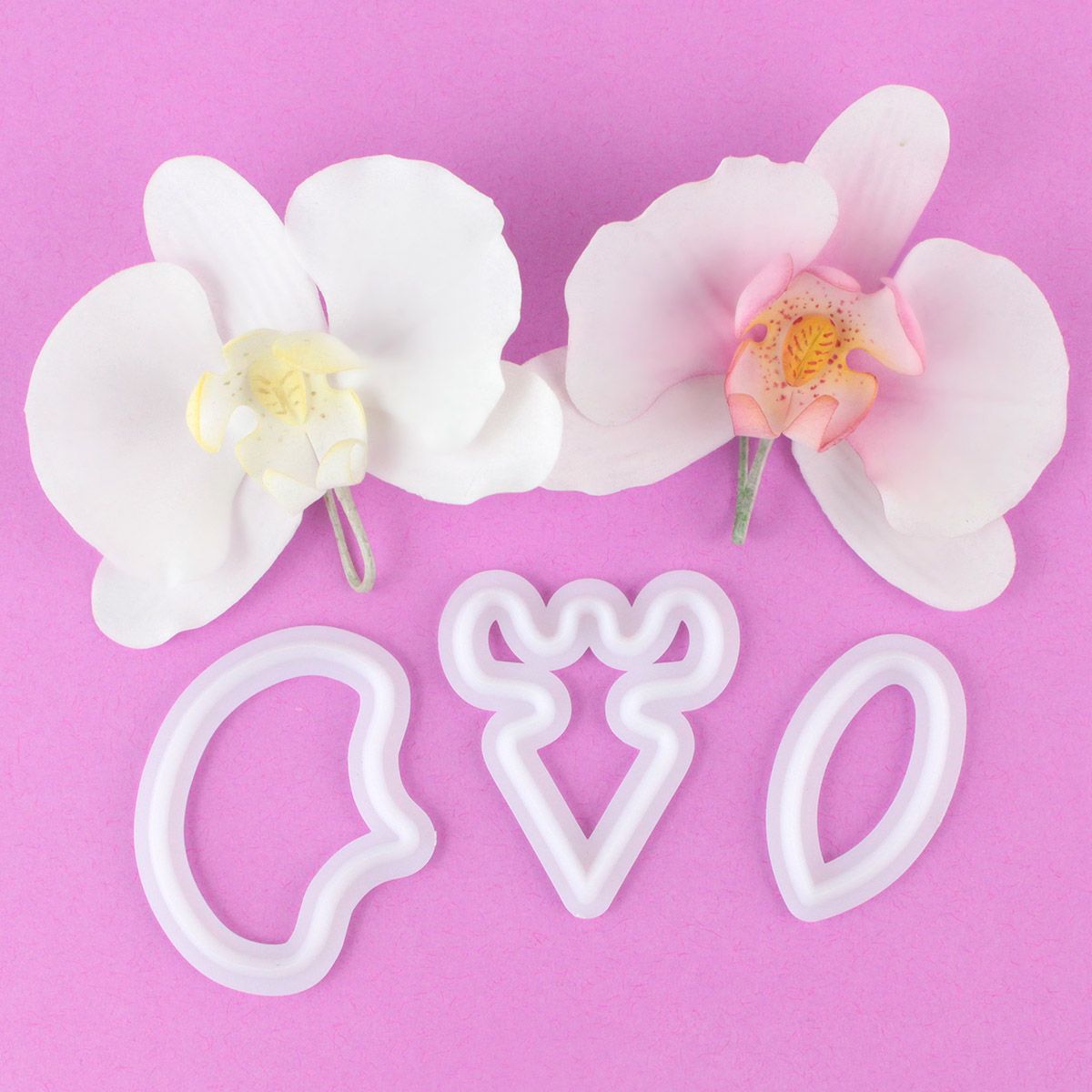FMM Moth Orchid Cutter