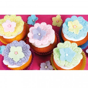 Rolfondant Multipack Pastel 5x100g