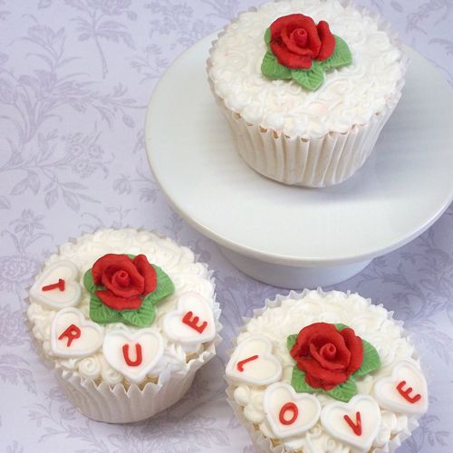 Katy sue mould rose