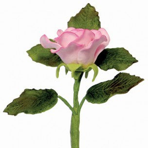 Calyx Cutter medium 33mm