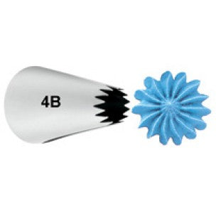 Tip#4B Open Star