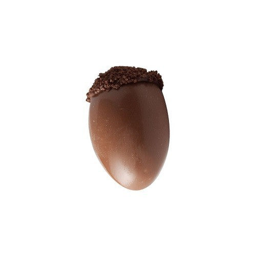Chocolade eikel 6stuks