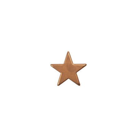Chocolade bronze ster (2.5 cm)- 8 stuks