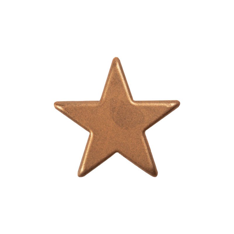 Chocolade ster bronze- 8 stuks