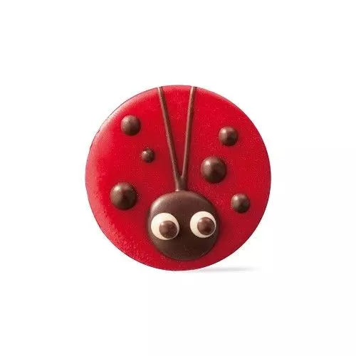 Chocolade lieveheerstbeestjes 10stuks-rood-paars-lila-goud