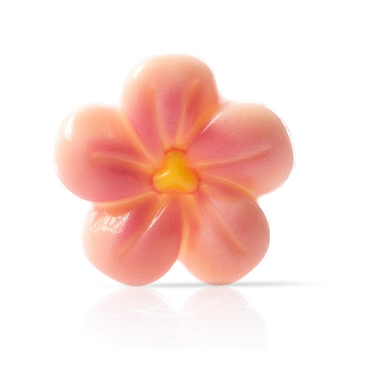 Chocoladedecoratie Perzik Bloesem