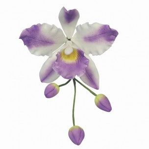 Cattleya Orchid flower/petal cutter